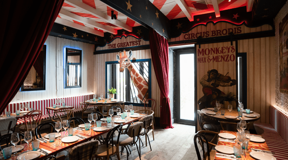 iluminación para camara de carne madurada