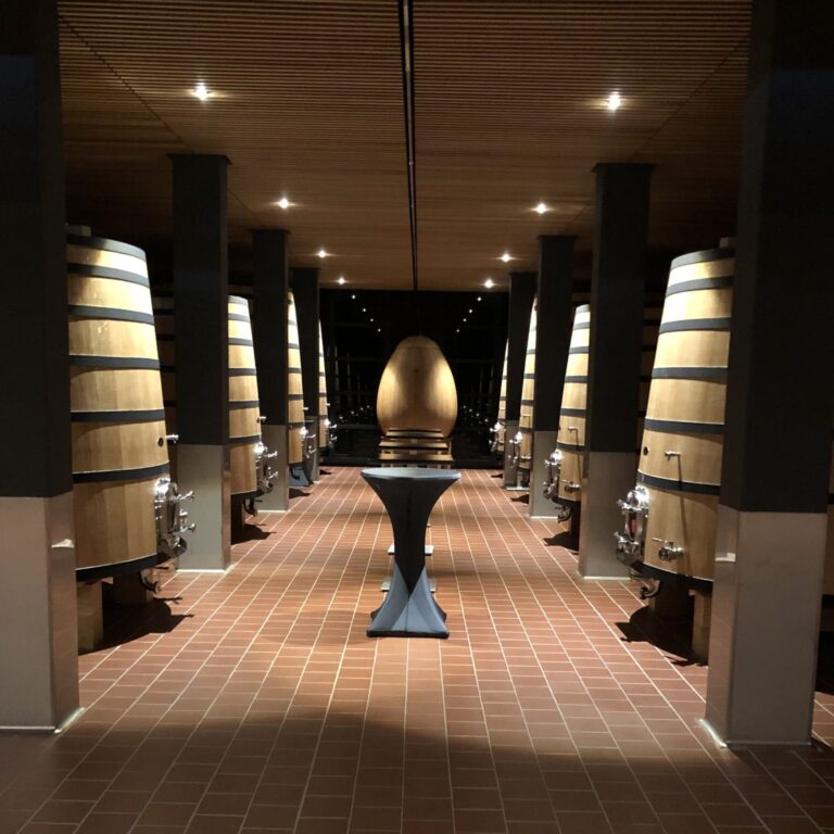 Bodega o vinoteca