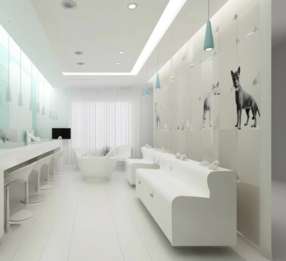 Diseño de iluminación para veterinarias